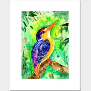 Colorful Dwarf Kingfisher Posters and Art